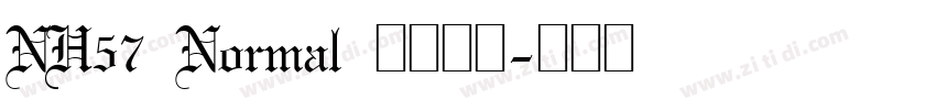 NH57 Normal 语言英文字体转换